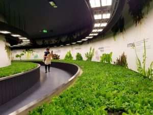 FICO esperienza Eatalyworld