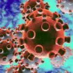 Coronavirus e parchi divertimento