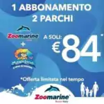 co-marketing parchi divertimento